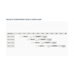 Voile paramoteur et parapente Pegasus 3 GIN. Pleinairshop.