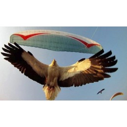 Annecy Stage parapente pour débutant