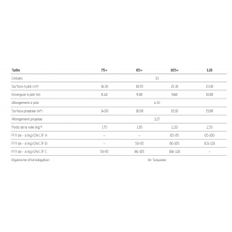 Spirit SKYWALK PARAGLIDERS