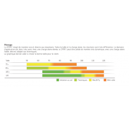 Spirit SKYWALK PARAGLIDERS