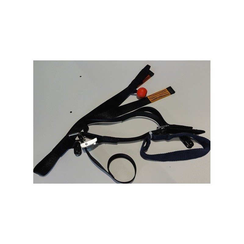 Elévateur Jojowing Quest