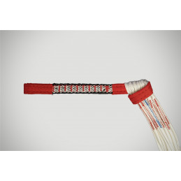 Quatro SKY PARAGLIDER