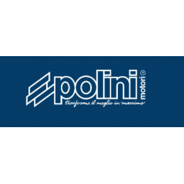 copy of Launcher "FLASH Starter "POLINI