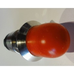 Interrupteur poussoir