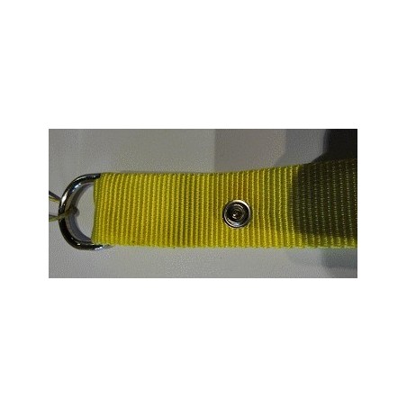 Poigné de cerf volant roses