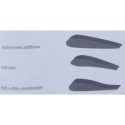 Maîtrise du paramoteur (Siecklucki)