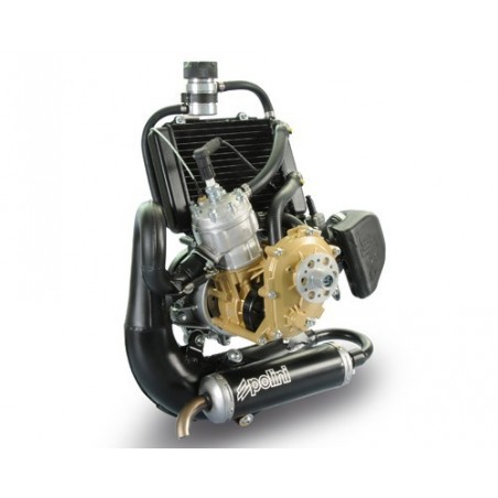 Polini Thor 80 liquide