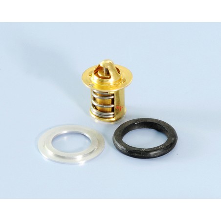 Thermostat de circulation d'eau THOR