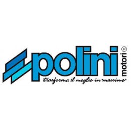 Joints pour moteur Polini Thor 200, Paramoteur.