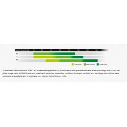 Tonic2 Skywalk, voile de speedflying