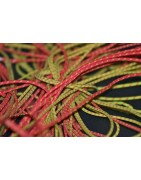 Tout sur le parapente et sur le paramoteur